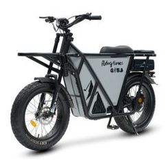 Ridingtimes Gt53 Electric Cargo Bike