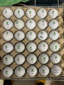 Seed golf balls x30