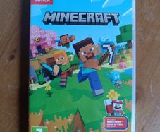 Minecraft Nintendo Switch game