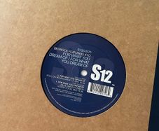 Bedrock for what you dream of 12" vinyl