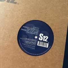 Bedrock for what you dream of 12" vinyl