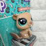 Littlest Pet Shop Bonnie Von Beaver 1-135 LPS Please see pictures Image 4