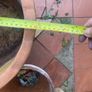 garden pots Image 3