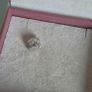 Pandora  Paris travel suitcase charm very good condition hallmarked Image 7