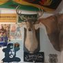 deers head Image 4