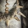 1 Made to Order Flidais Deer Antler Necklace Celtic Mythology Image 4