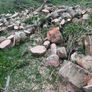 Tree service able for all work Image 2