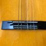 Tanglewood Handcrafted Guitar TW -20 Image 7