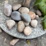 Decorative pebbles for garden PRICE DROP now 100 Image 9