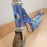 scoter Image 3