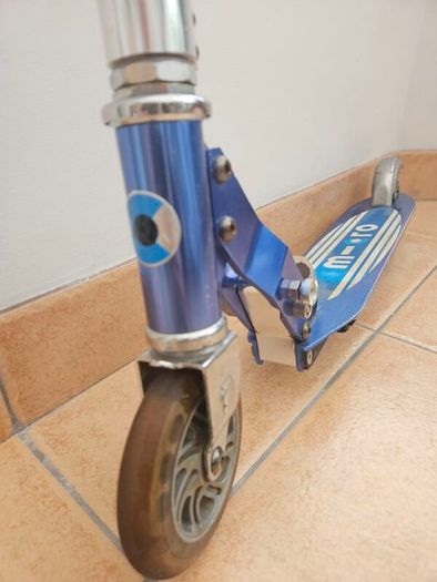scoter