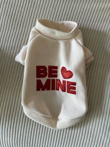 Small Dog Clothes Bundle