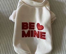 Small Dog Clothes Bundle