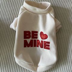 Small Dog Clothes Bundle