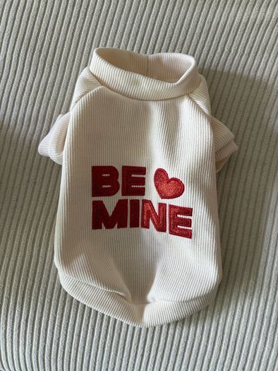 Small Dog Clothes Bundle