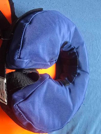 dog life jacket