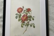 Ariel press poster 1989 of roses