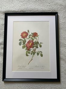 Ariel press poster 1989 of roses