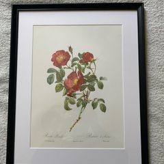Ariel press poster 1989 of roses