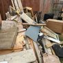 free timber Image 2