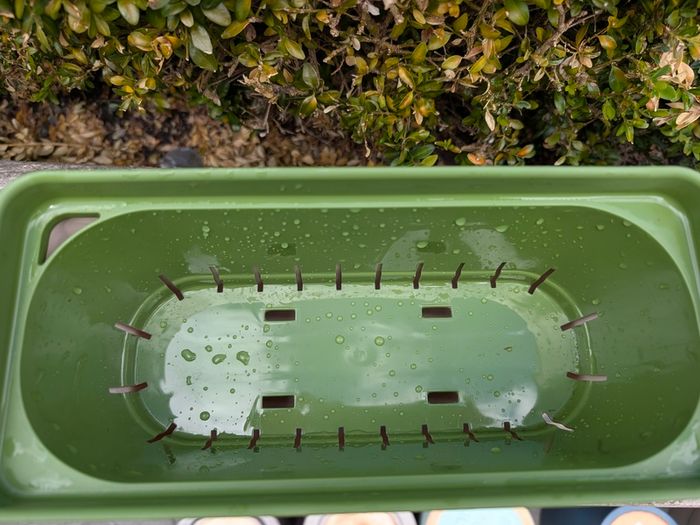 self watering