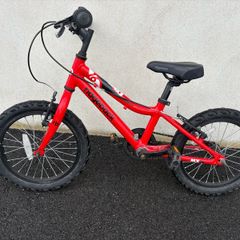 Ridgeback MX16