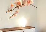 Creamy Orchid Flowers Removable PVC Wall Stickers 3D Decal Art Mural Decor