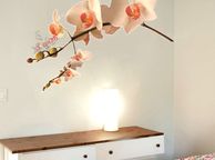 main image for ad Creamy Orchid Flowers Removable PVC Wall Stickers 3D Decal Art Mural Decor