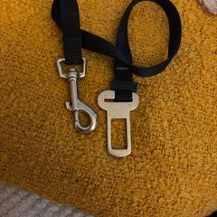 Dog car seat-belt tether for securing a dog while travelling.