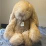 jellycat springlowe bunny Image 2
