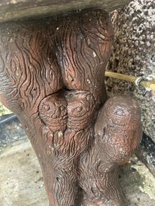 bird bath