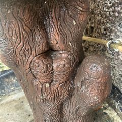 bird bath