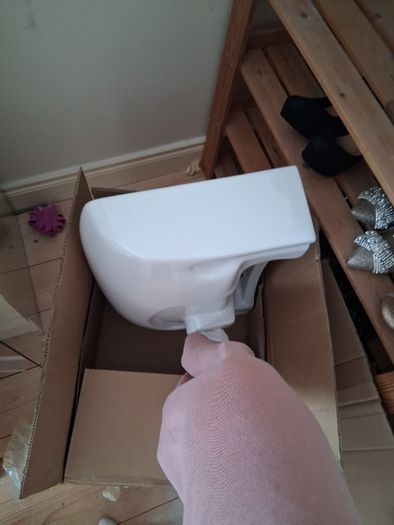 Vogue bathrooms basin & pedestal