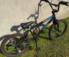 BMX Bike X-rated Spine