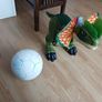 dinosaur Image 2