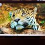 Microsoft Surface Pro 3 (Core i5, 128GB SSD, 4GB RAM, Replacement AC Adapter) Image 2