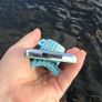 Custom iPod Classic 256GB USB-C Image 4