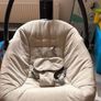 Baby swing Image 4