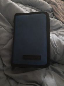 nintendo ds carry case