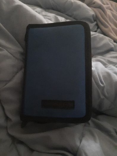 nintendo ds carry case
