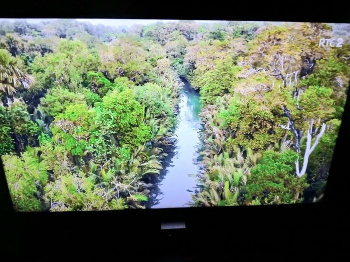 Samsung 40 inch smart hdmi tv.
