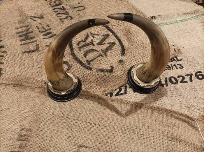 set of mounted horns