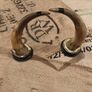 set of mounted horns Image 2
