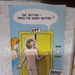 5 Bamforth nudist colony saucy postcards.