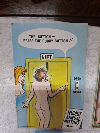 5 Bamforth nudist colony saucy postcards.