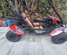 Trailblazer buggy