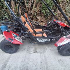 Trailblazer buggy