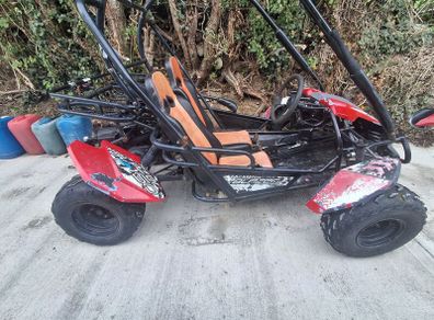 Trailblazer buggy