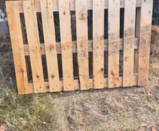 Free Pallet