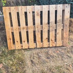 Free Pallet